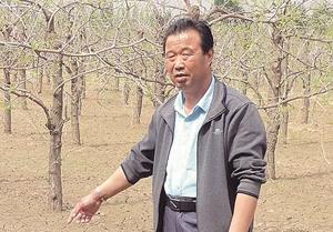 �к����W���N�̘I������������